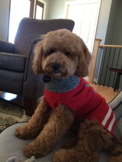  The Improvement was almost immediate!