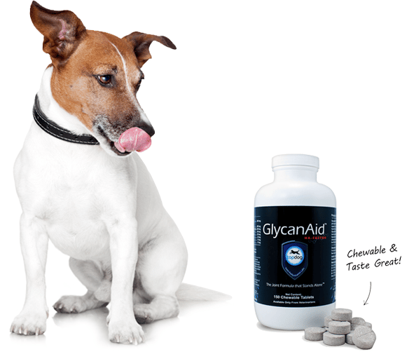 GlycanAid