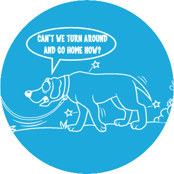 Reluctance to go on walks or walk less than normal: