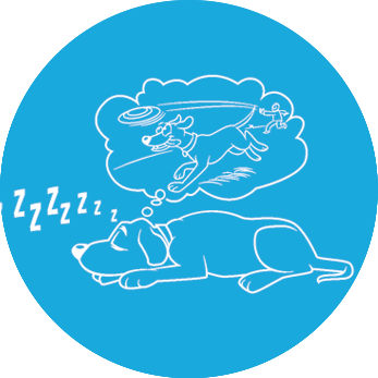 Sleeping more and/or sleeping longer: